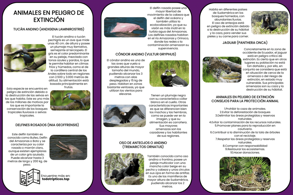 Trípticos Animales en Peligro de Extinción 【Descargar】