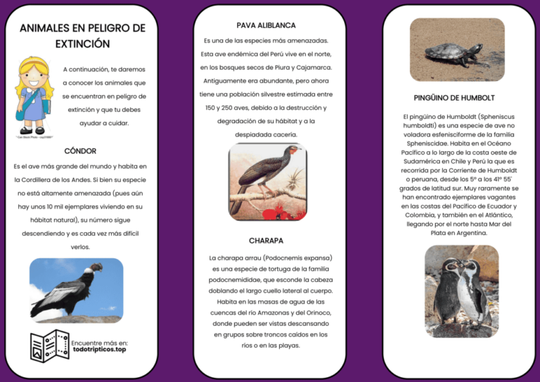 Trípticos Animales en Peligro de Extinción 【Descargar】