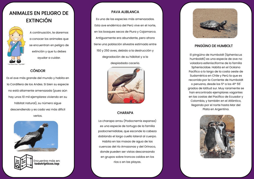 Trípticos Animales en Peligro de Extinción 【Descargar】